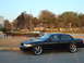 wedding my car 202.JPG